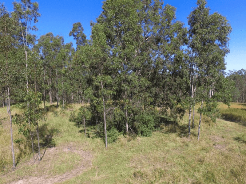 Lot 275 Paddys Flat Road, TABULAM, NSW 2469