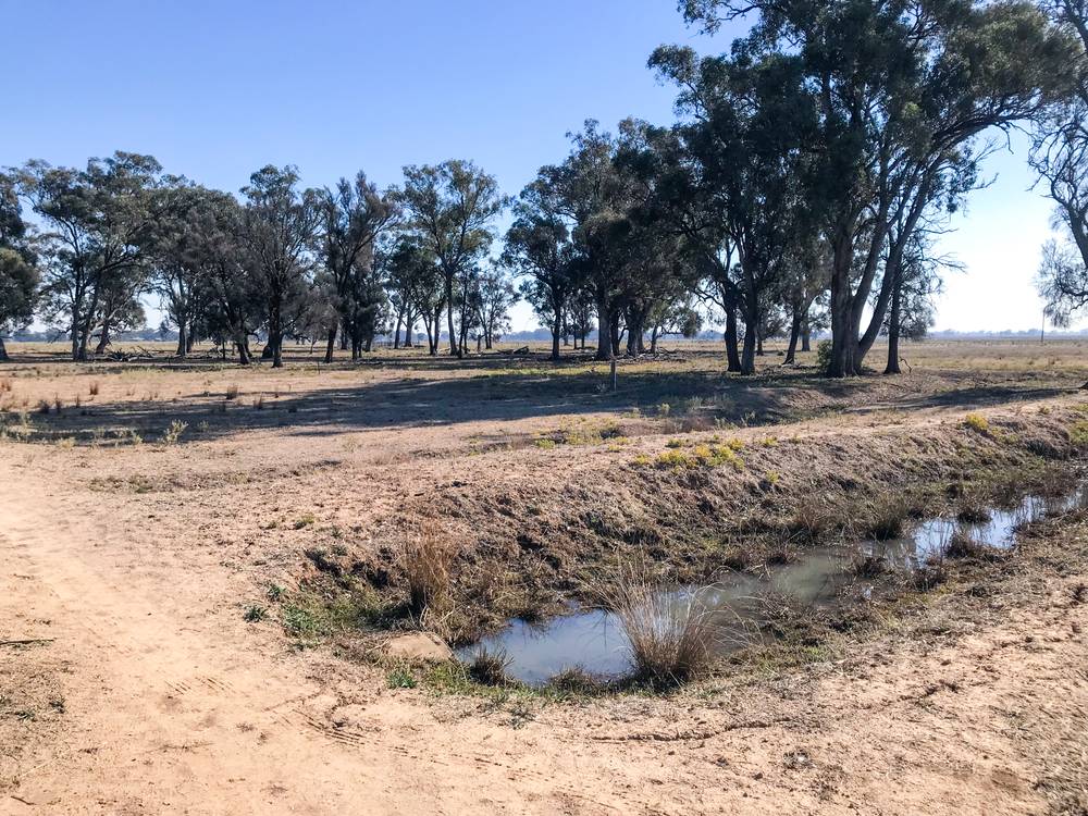 Lot 3 Kellys Road, WUNGHNU, VIC 3635