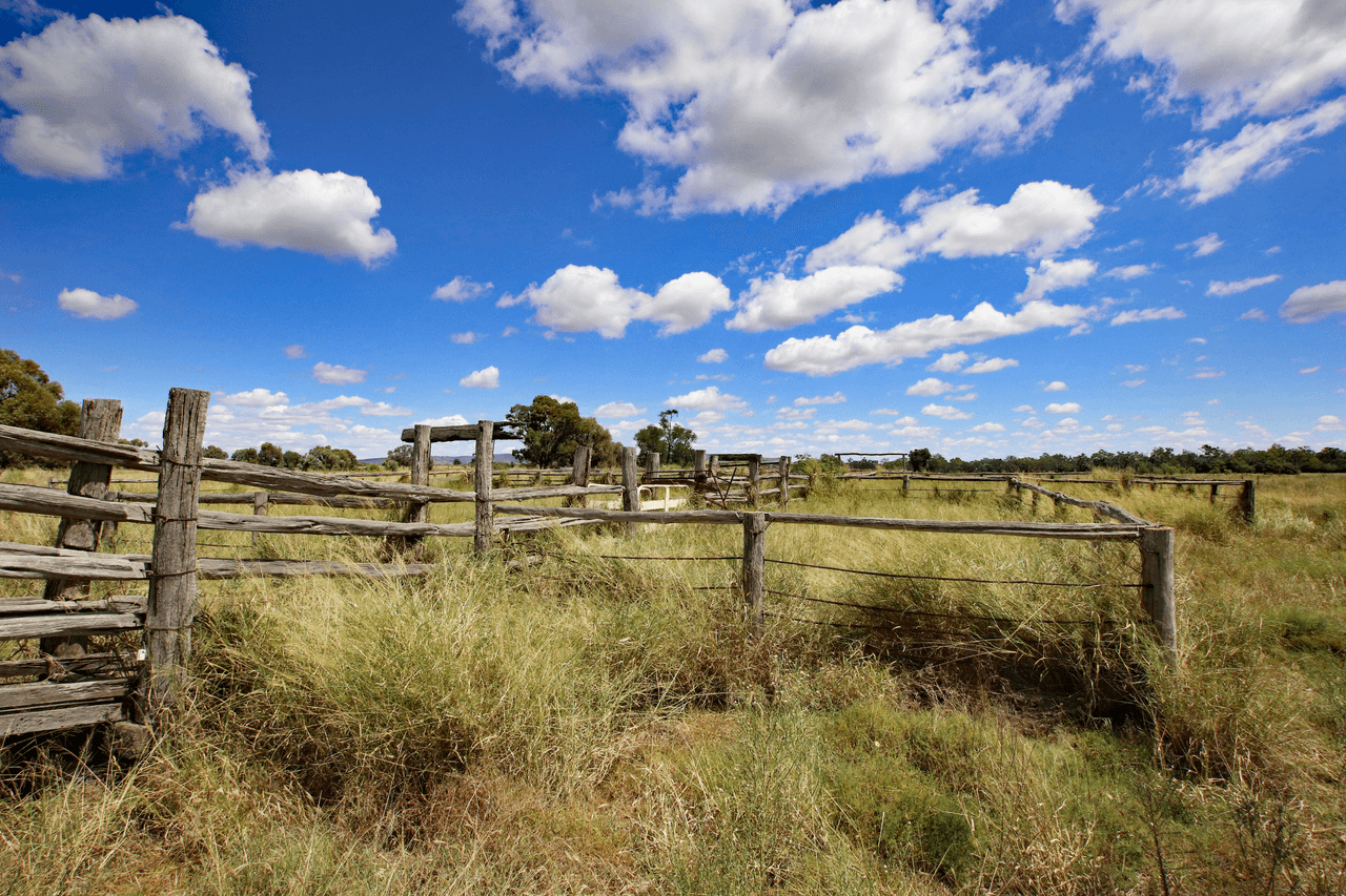 Arkarra / 12793 Dawson Highway, BILOELA, QLD 4715