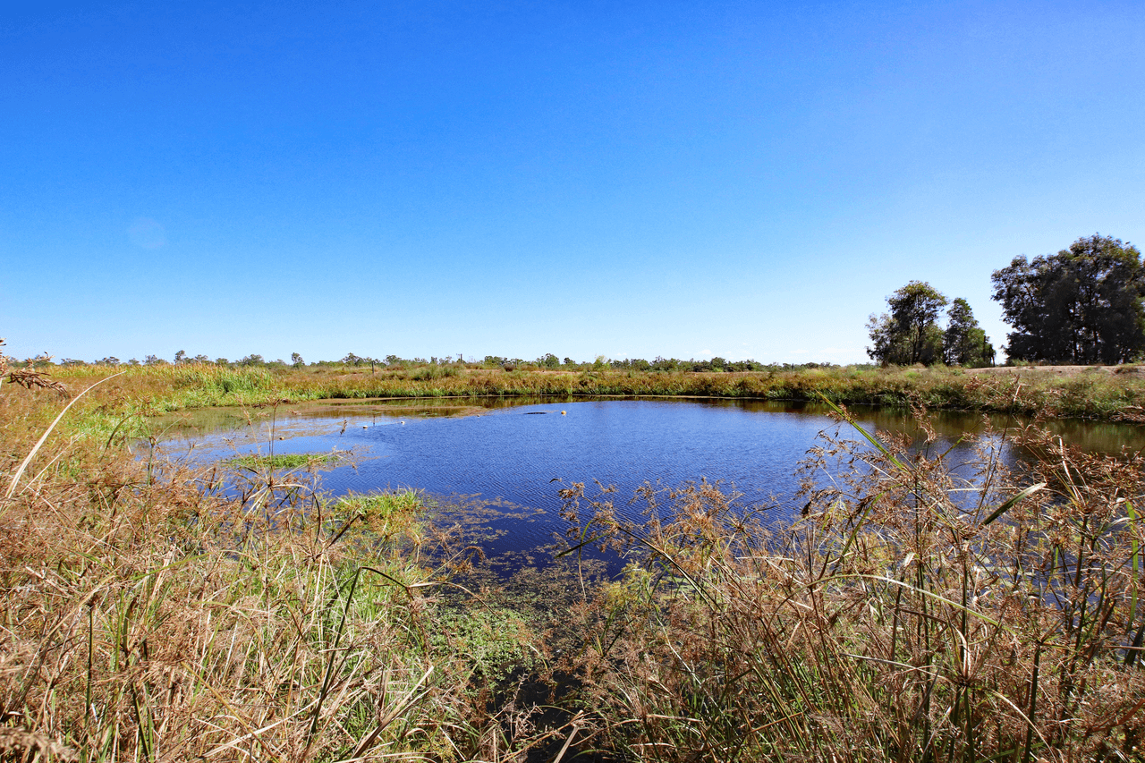 Arkarra / 12793 Dawson Highway, BILOELA, QLD 4715