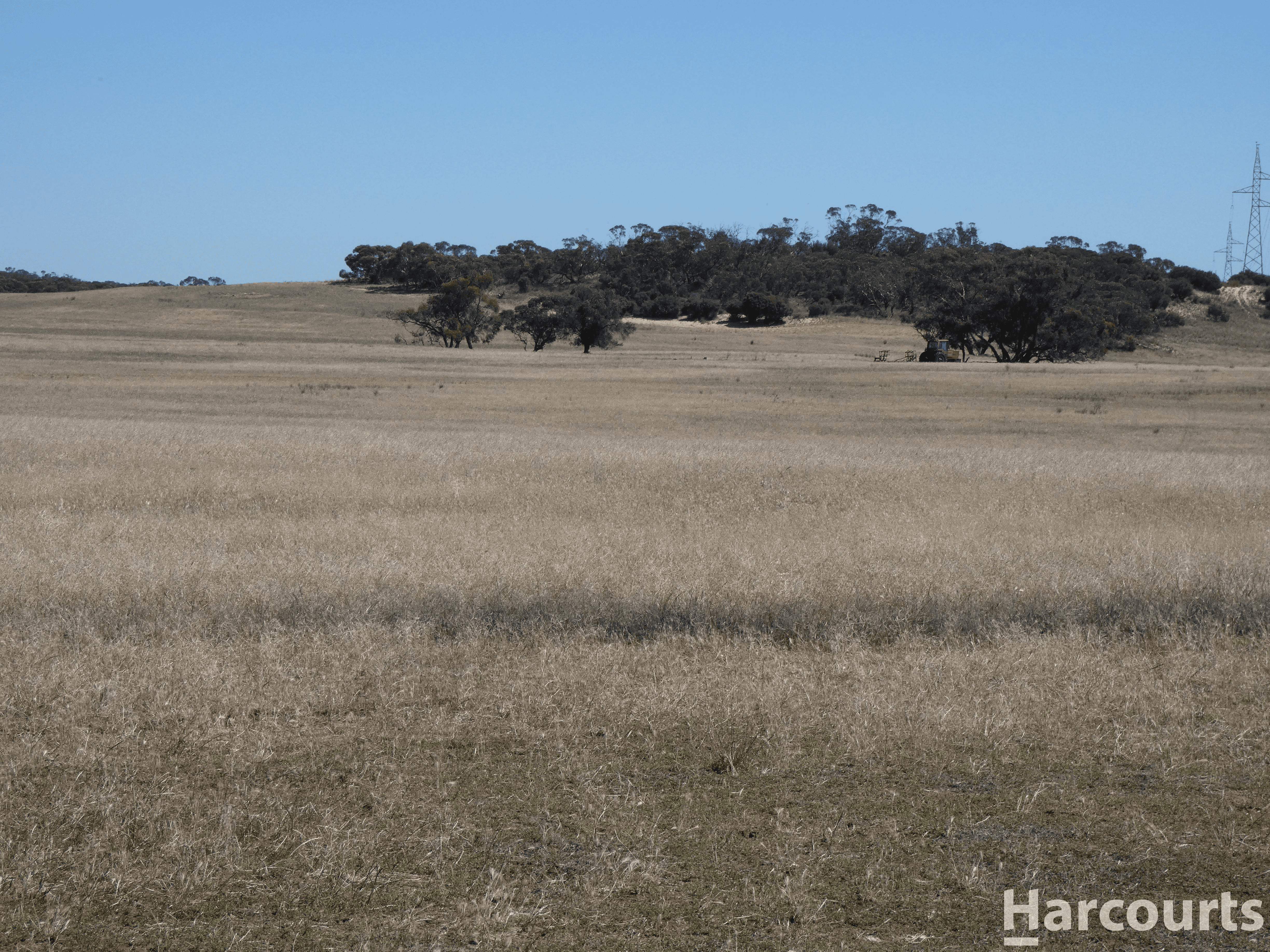 . Yarto - Speed Road, PATCHEWOLLOCK, VIC 3491