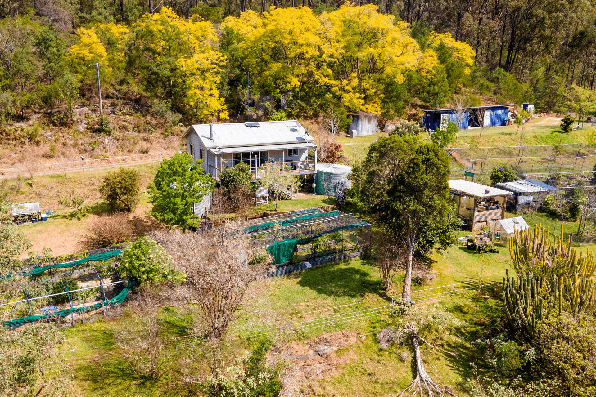 629 Wollombi Road, St Albans, NSW 2775