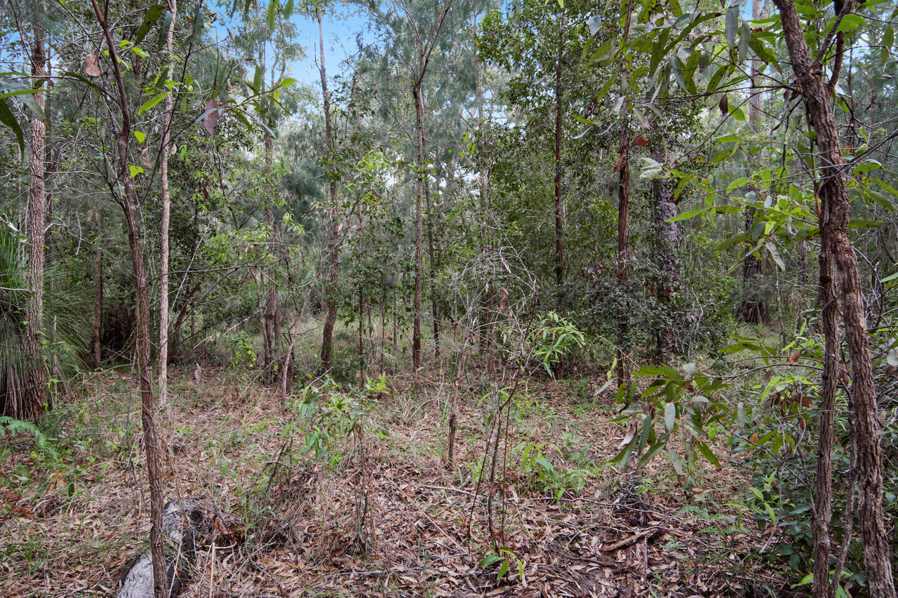 Lot 98 Range Road, CAPTAIN CREEK, QLD 4677