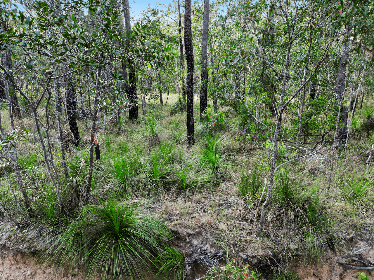 Lot 98 Range Road, CAPTAIN CREEK, QLD 4677