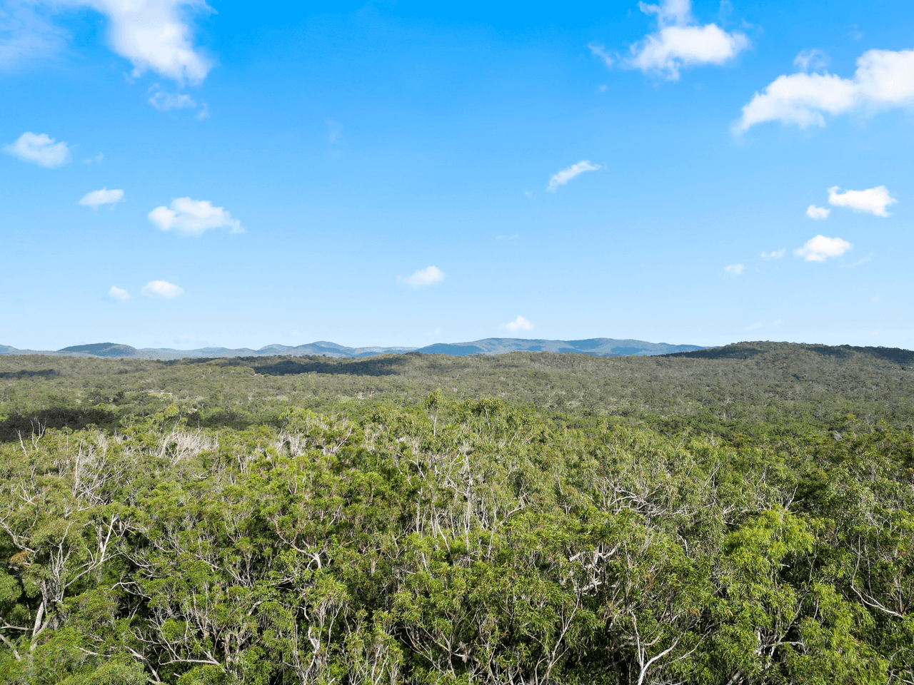 Lot 98 Range Road, CAPTAIN CREEK, QLD 4677