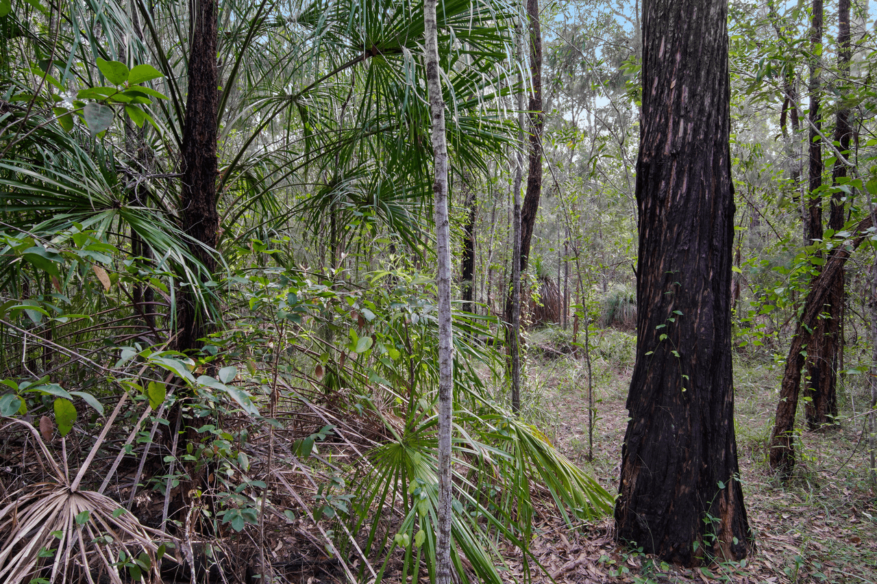 Lot 98 Range Road, CAPTAIN CREEK, QLD 4677