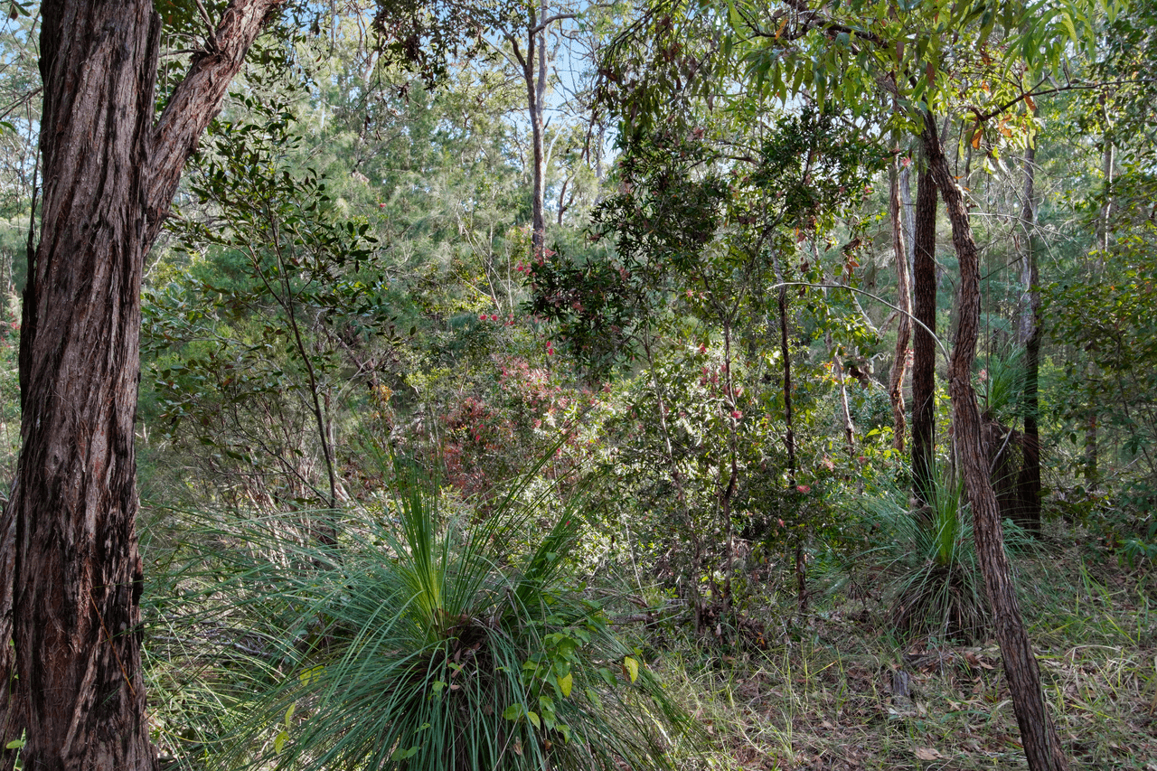 Lot 98 Range Road, CAPTAIN CREEK, QLD 4677