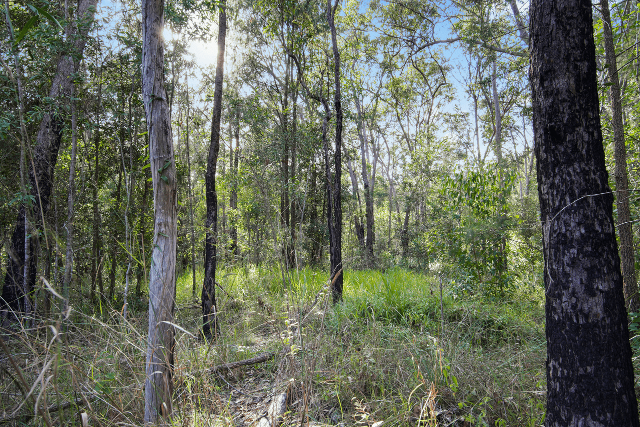 Lot 98 Range Road, CAPTAIN CREEK, QLD 4677