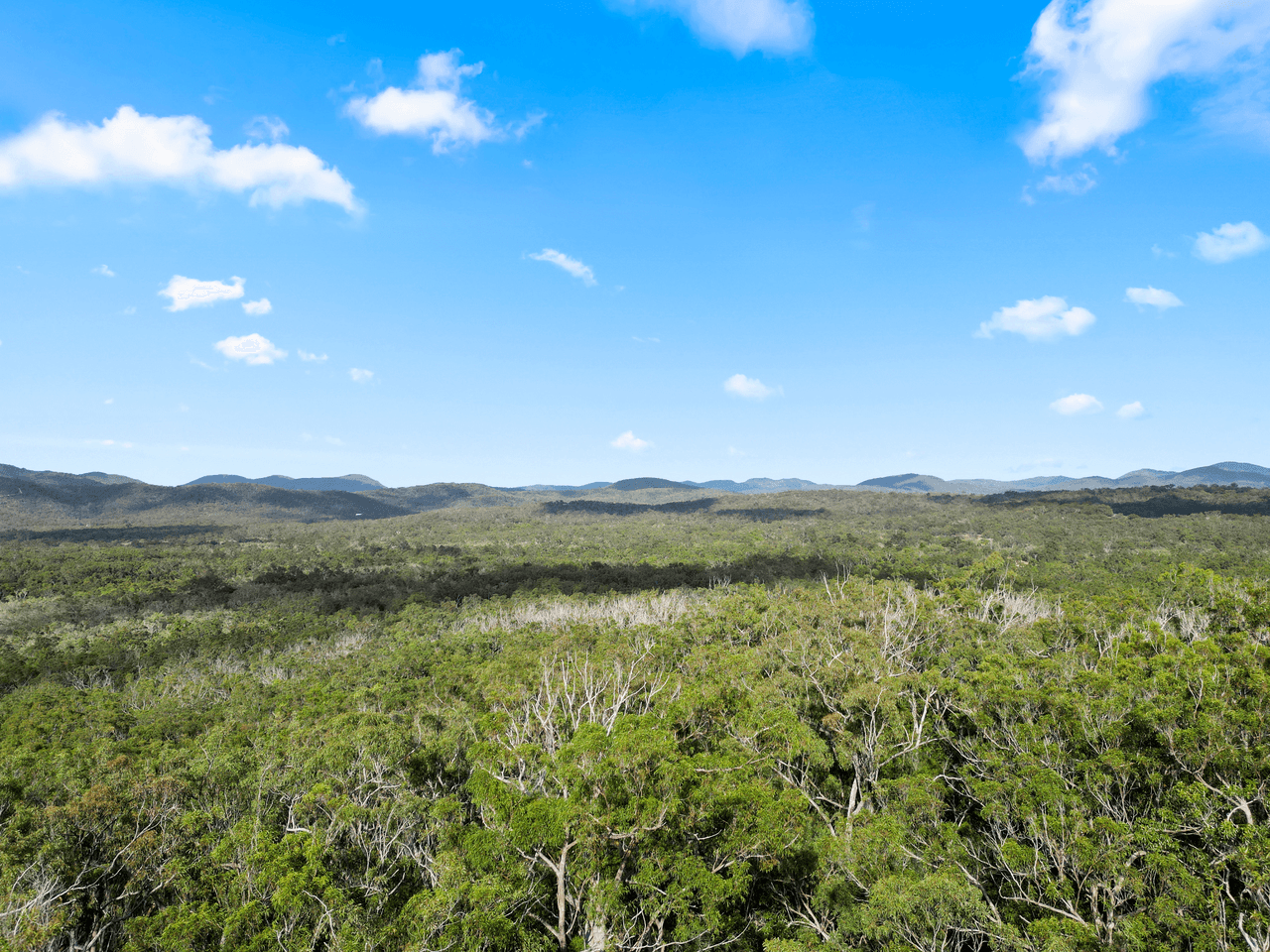 Lot 98 Range Road, CAPTAIN CREEK, QLD 4677