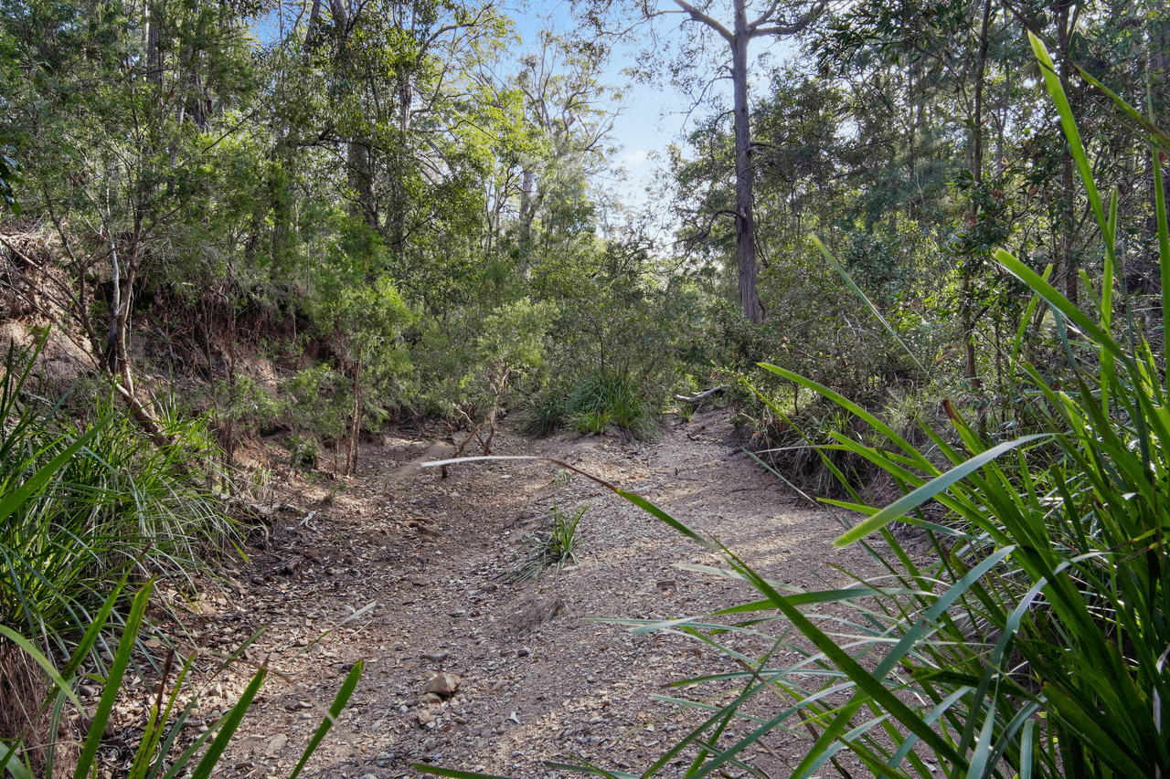 Lot 98 Range Road, CAPTAIN CREEK, QLD 4677