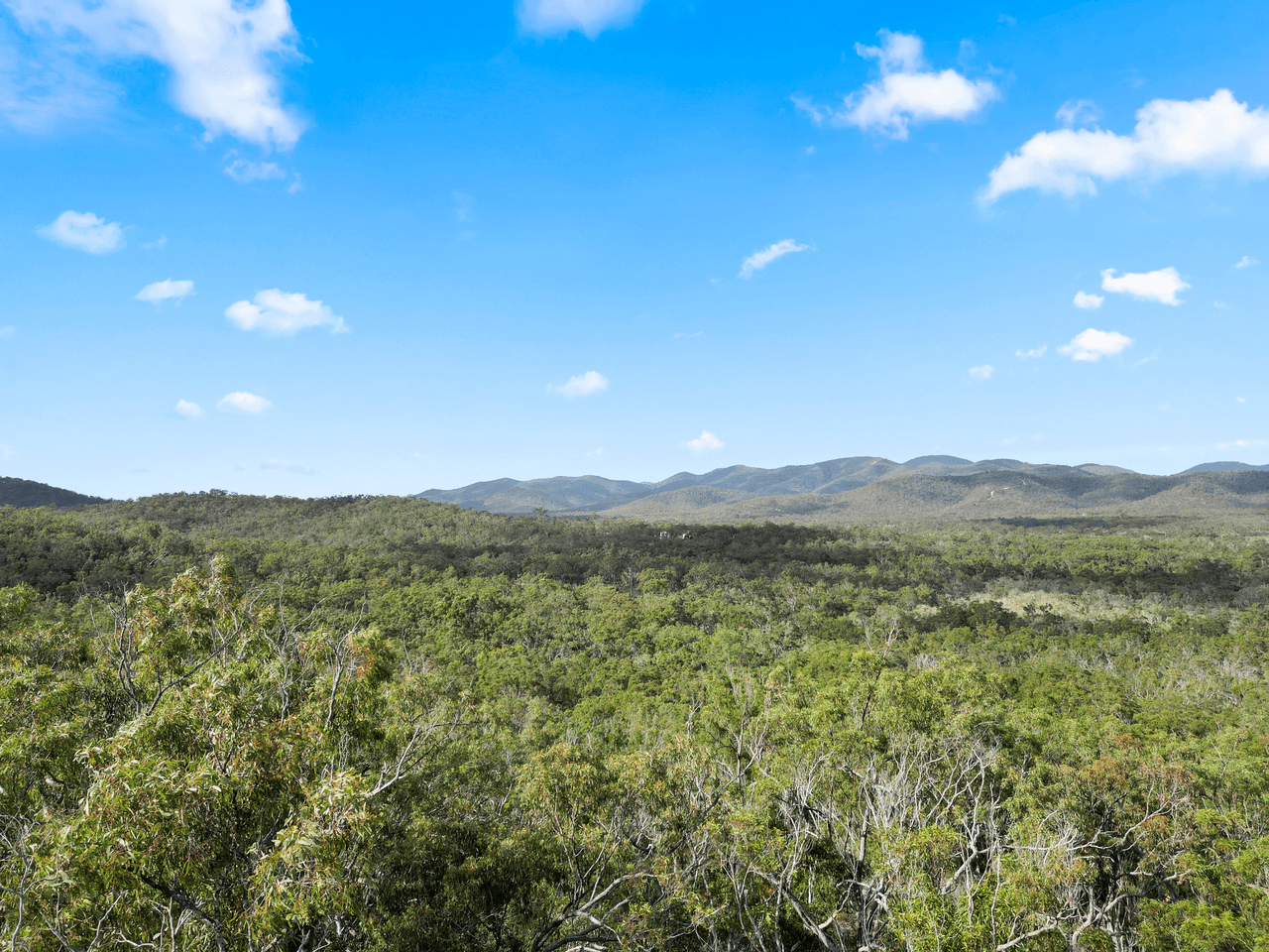 Lot 98 Range Road, CAPTAIN CREEK, QLD 4677