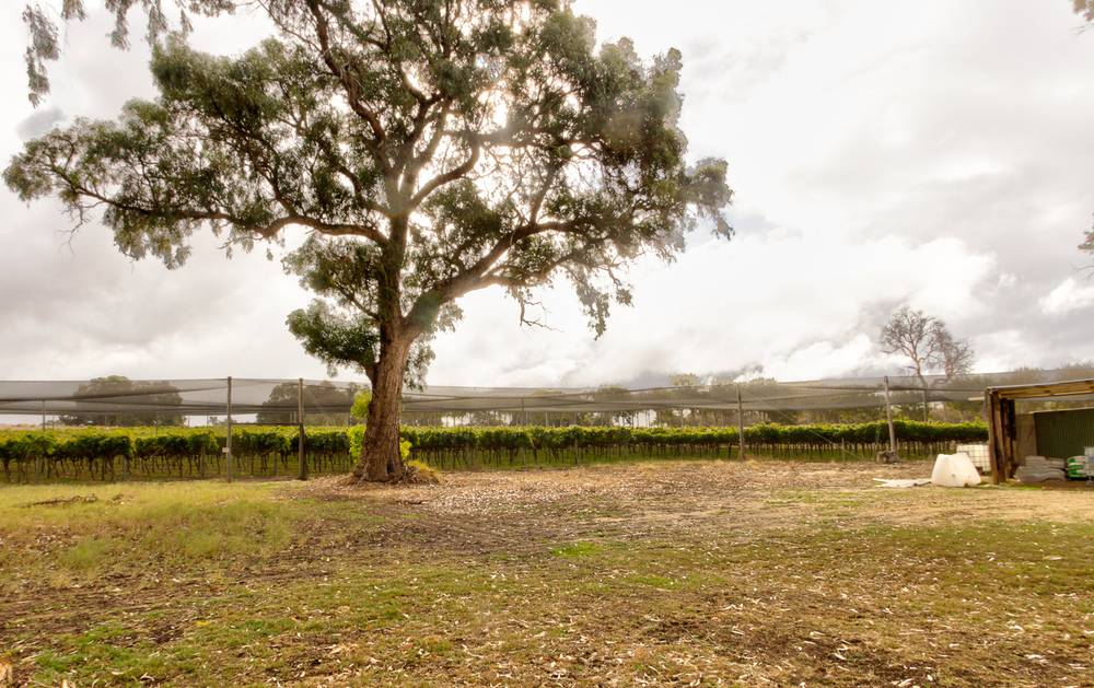 317 Rangeview Drive, Wanerie, WA 6503