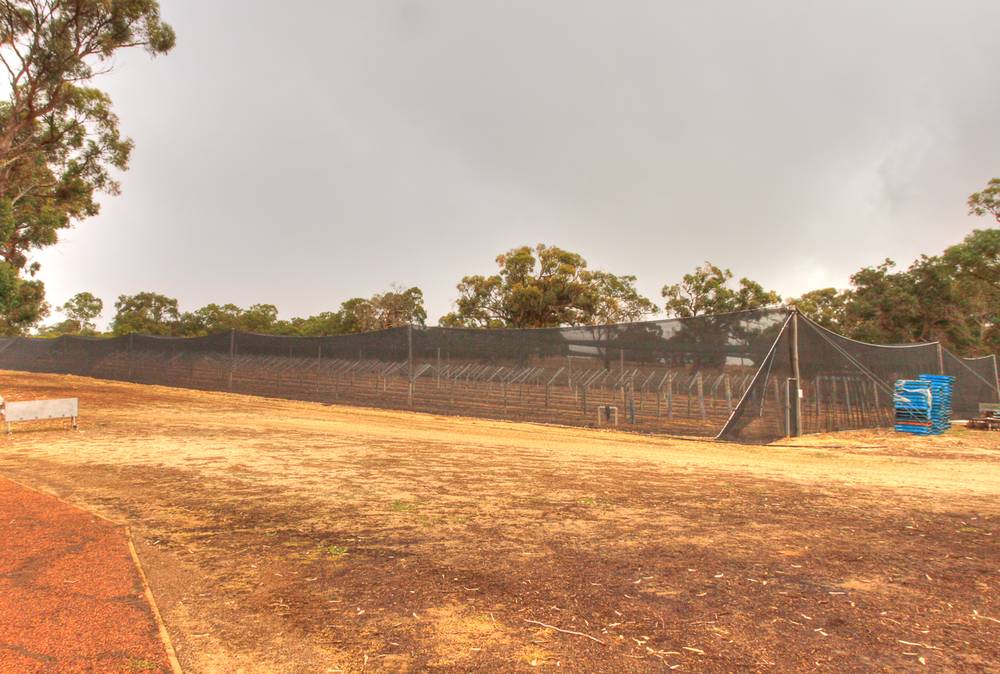 317 Rangeview Drive, Wanerie, WA 6503