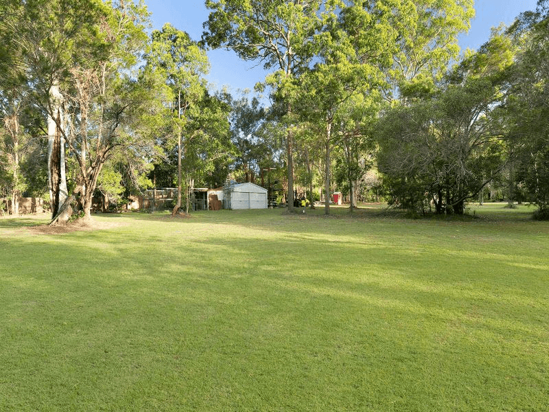 169 Warriewood Street, CHANDLER, QLD 4155