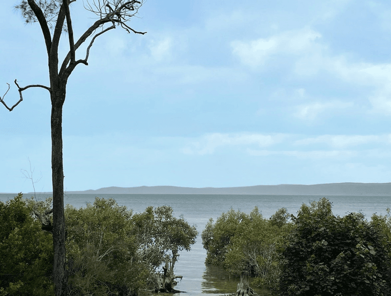 40 Calm Waters Crescent, Macleay Island, QLD 4184