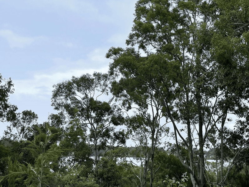 40 Calm Waters Crescent, Macleay Island, QLD 4184