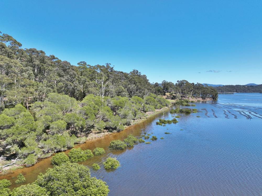 66 Hardakers Road, PAMBULA, NSW 2549
