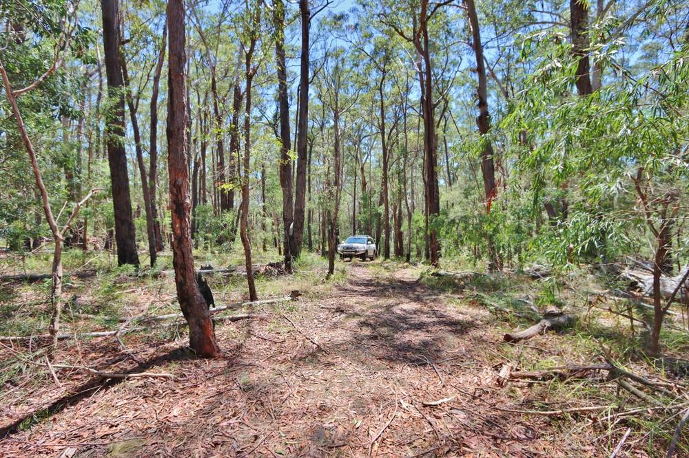66 Hardakers Road, PAMBULA, NSW 2549