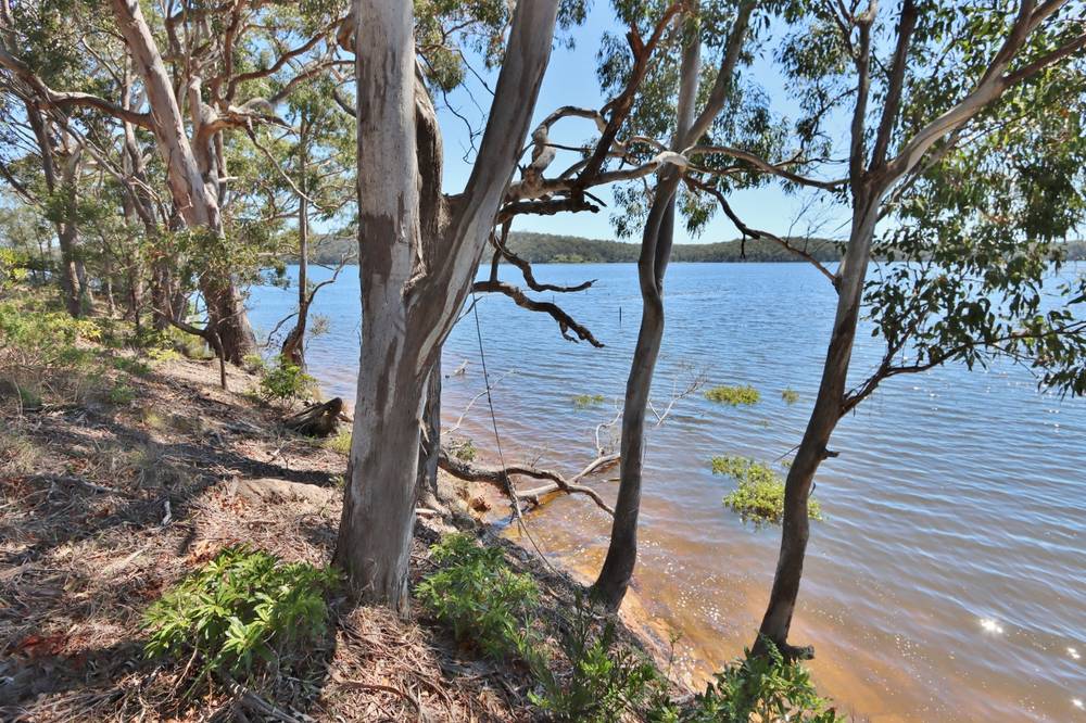 66 Hardakers Road, PAMBULA, NSW 2549