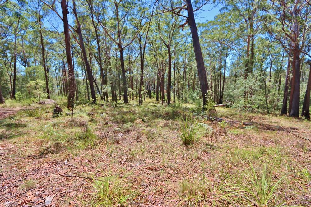 66 Hardakers Road, PAMBULA, NSW 2549