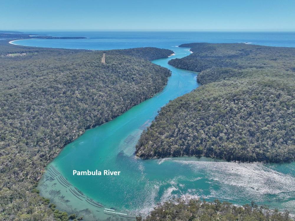 66 Hardakers Road, PAMBULA, NSW 2549
