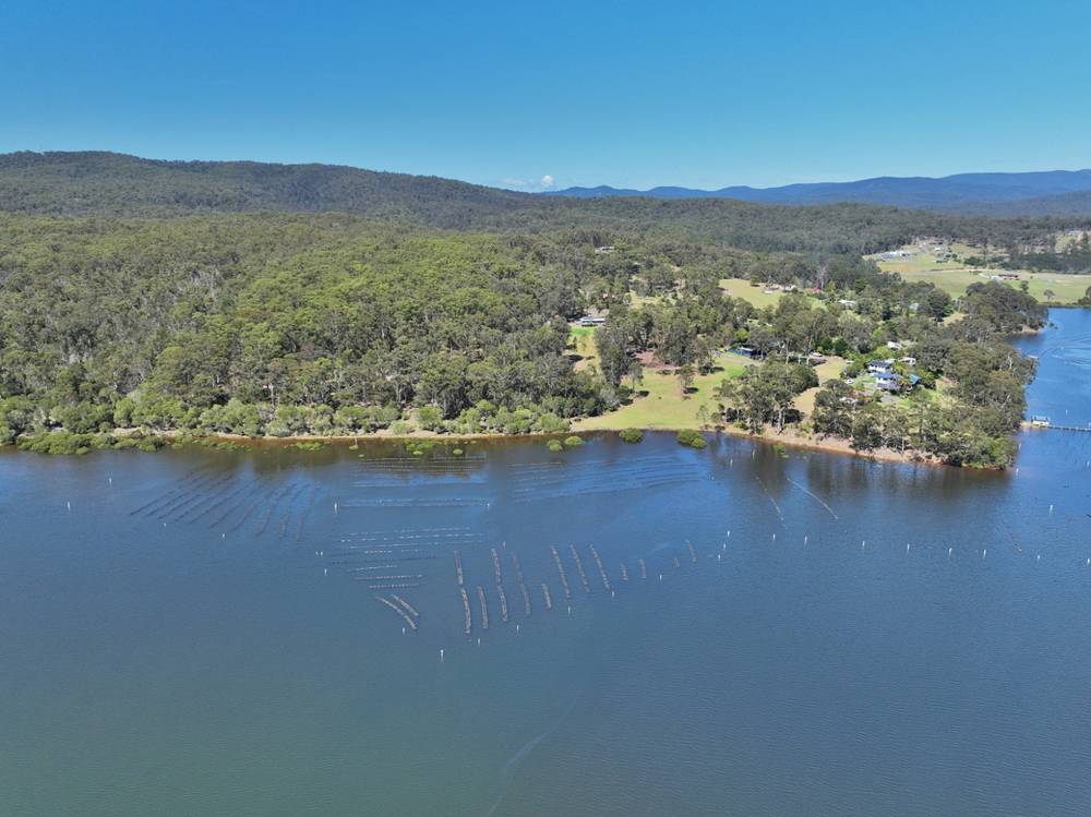 66 Hardakers Road, PAMBULA, NSW 2549
