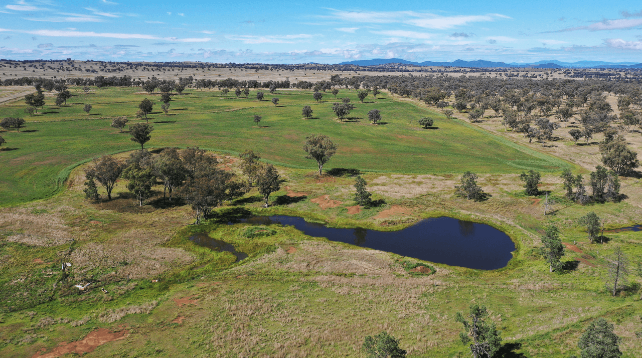 2629 Rangari Road, MANILLA, NSW 2346