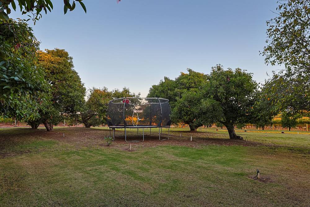 128 Cowra Avenue, Irymple, VIC 3498