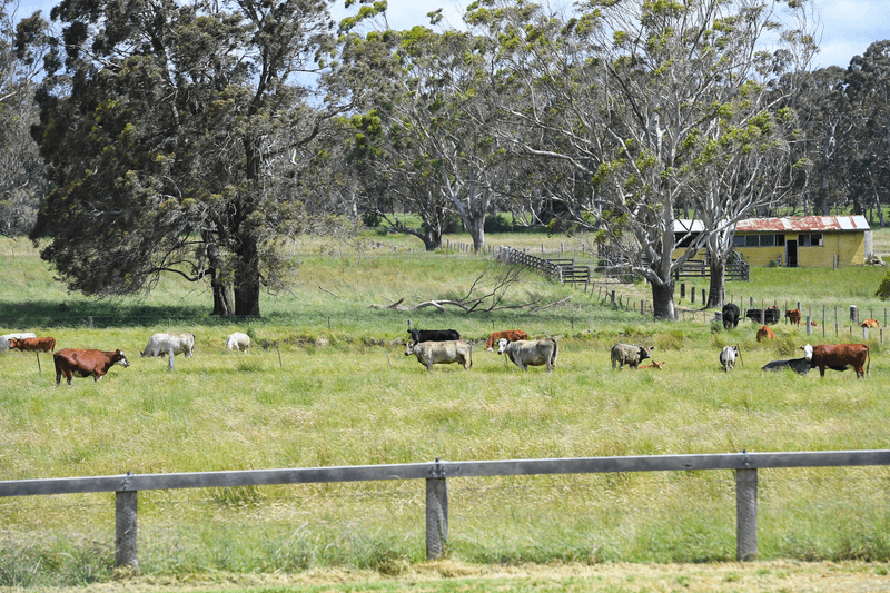 63 Greasons Road, Bundanoon, NSW 2578