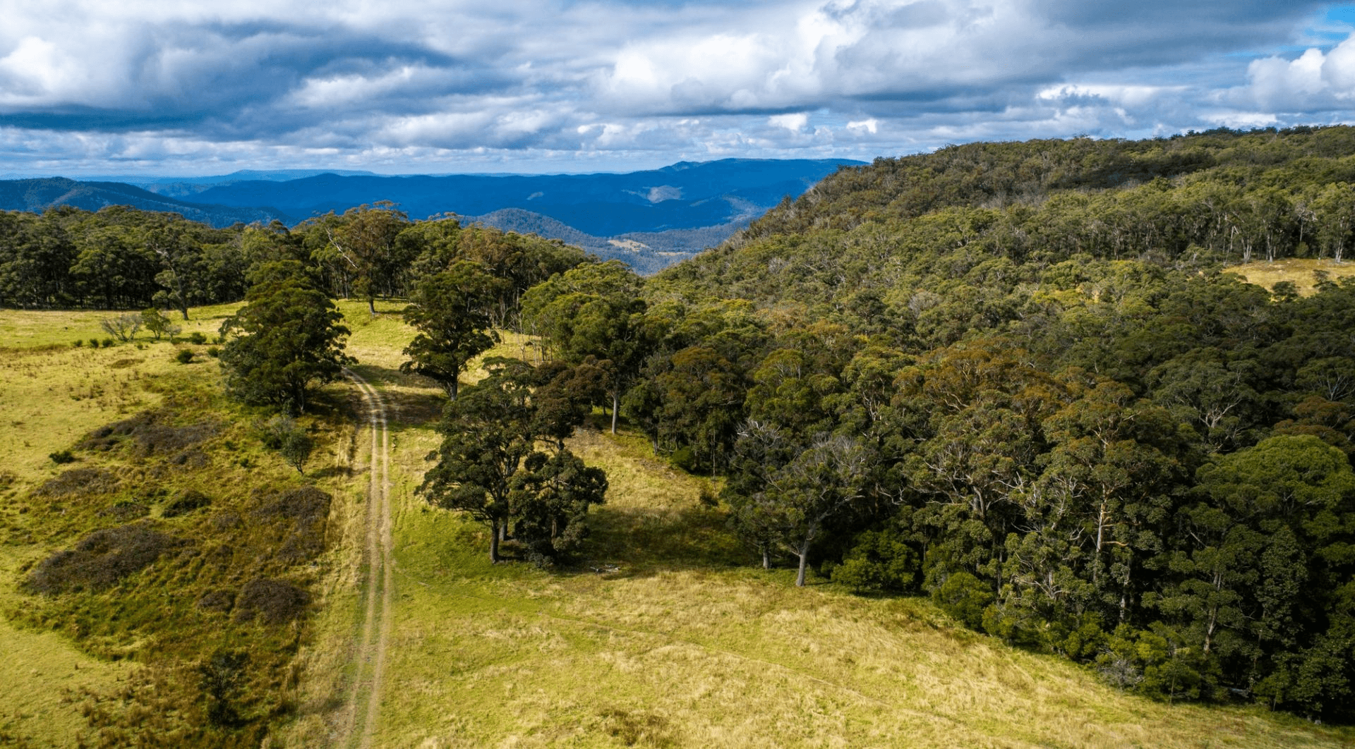 224 Wallaroo Range Road, Willsons Downfall, NSW 2372