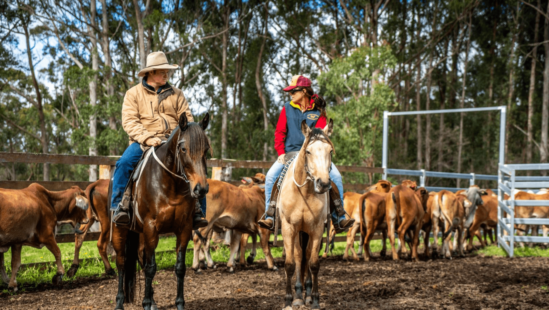 224 Wallaroo Range Road, Willsons Downfall, NSW 2372