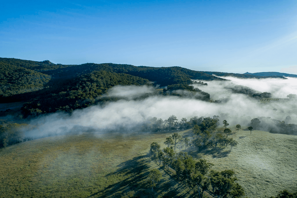 345 Black Swamp Road, TENTERFIELD, NSW 2372