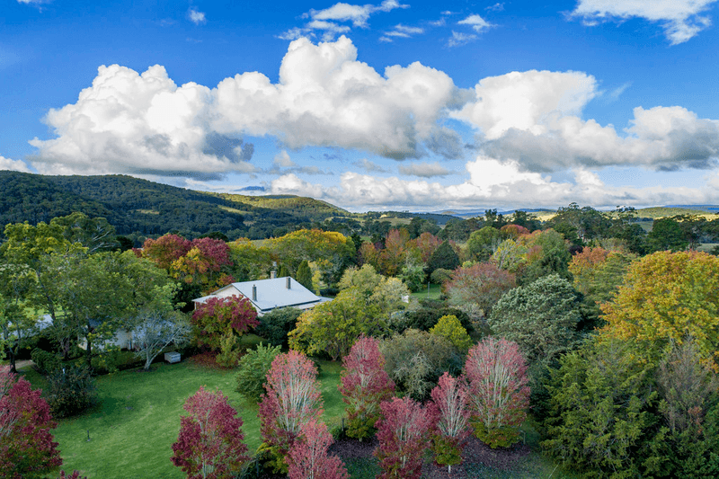 345 Black Swamp Road, TENTERFIELD, NSW 2372