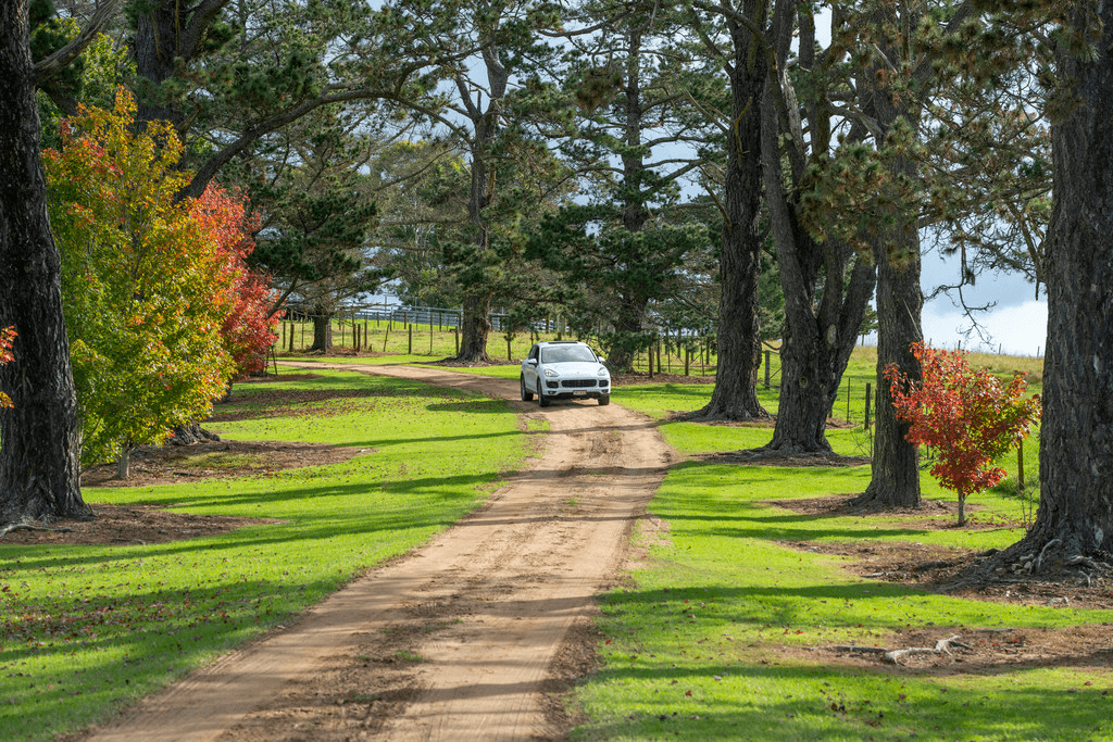 345 Black Swamp Road, TENTERFIELD, NSW 2372