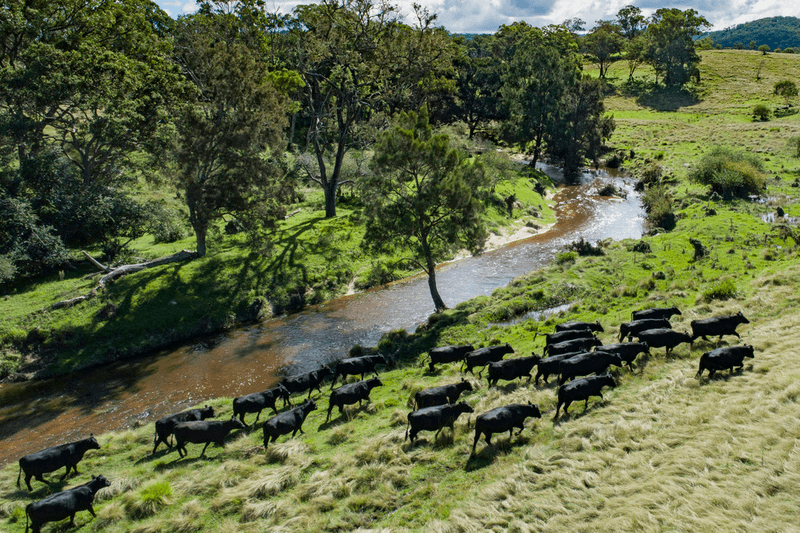 345 Black Swamp Road, TENTERFIELD, NSW 2372