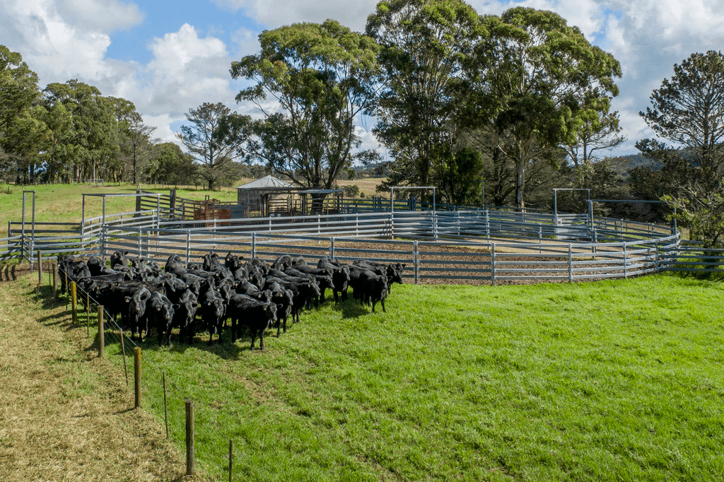 345 Black Swamp Road, TENTERFIELD, NSW 2372