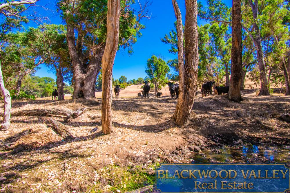 40 Scriven Road, BRIDGETOWN, WA 6255