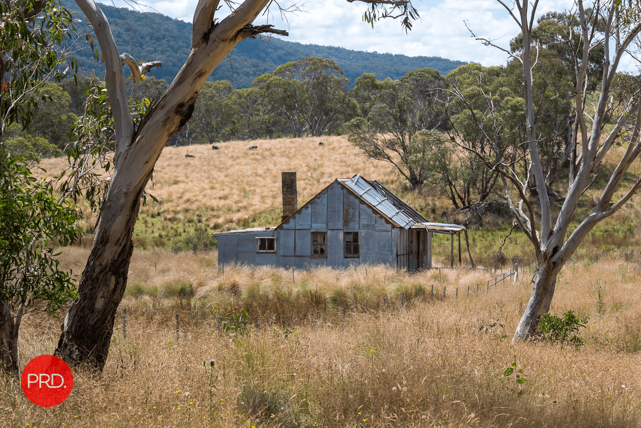 230  Hereford Hall Road, HEREFORD HALL, NSW 2622