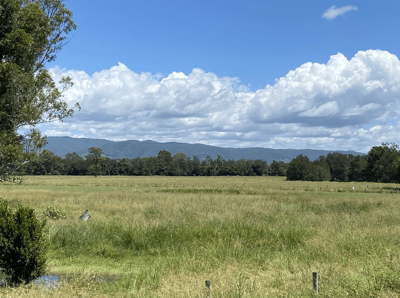 20 KRUCKS ROAD, CONONDALE, QLD 4552