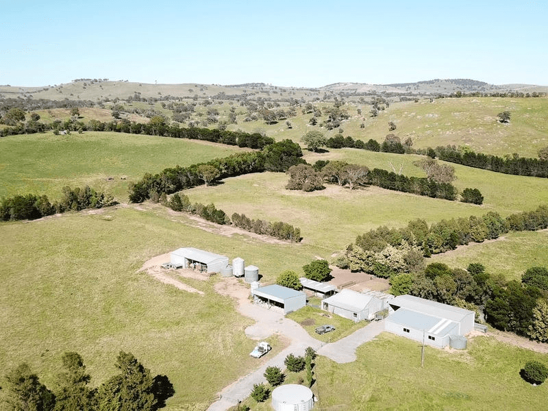 4729 Dalton Road, RYE PARK, NSW 2586