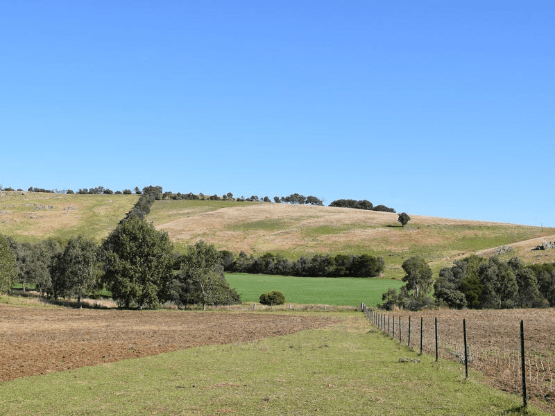 4729 Dalton Road, RYE PARK, NSW 2586