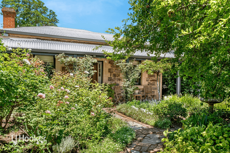 14 Gilbert Street, NORWOOD, SA 5067