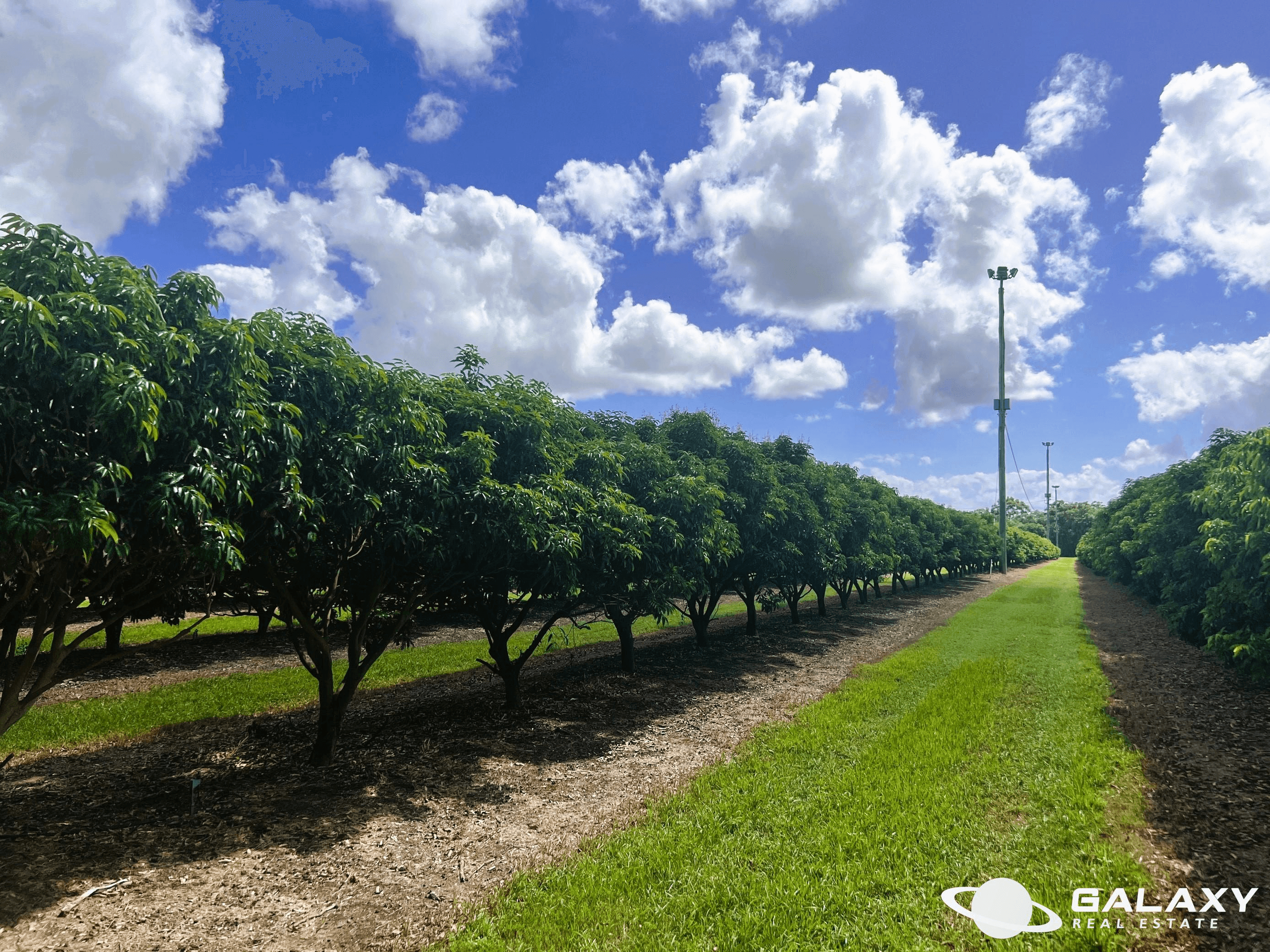 173 Bonels Road, WELCOME CREEK, QLD 4670