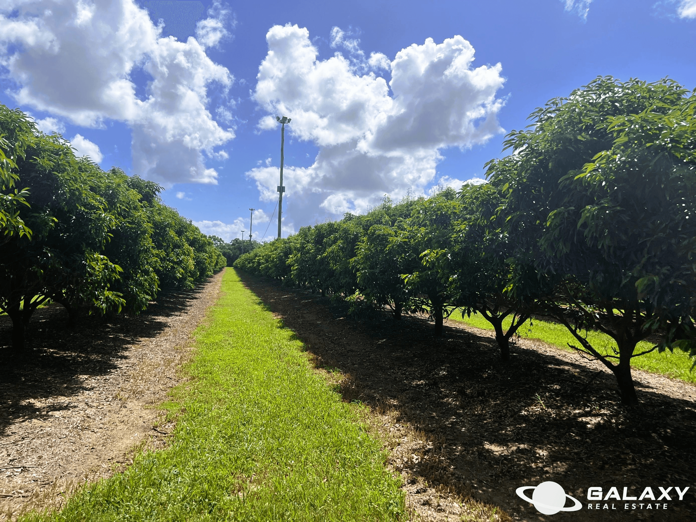 173 Bonels Road, WELCOME CREEK, QLD 4670