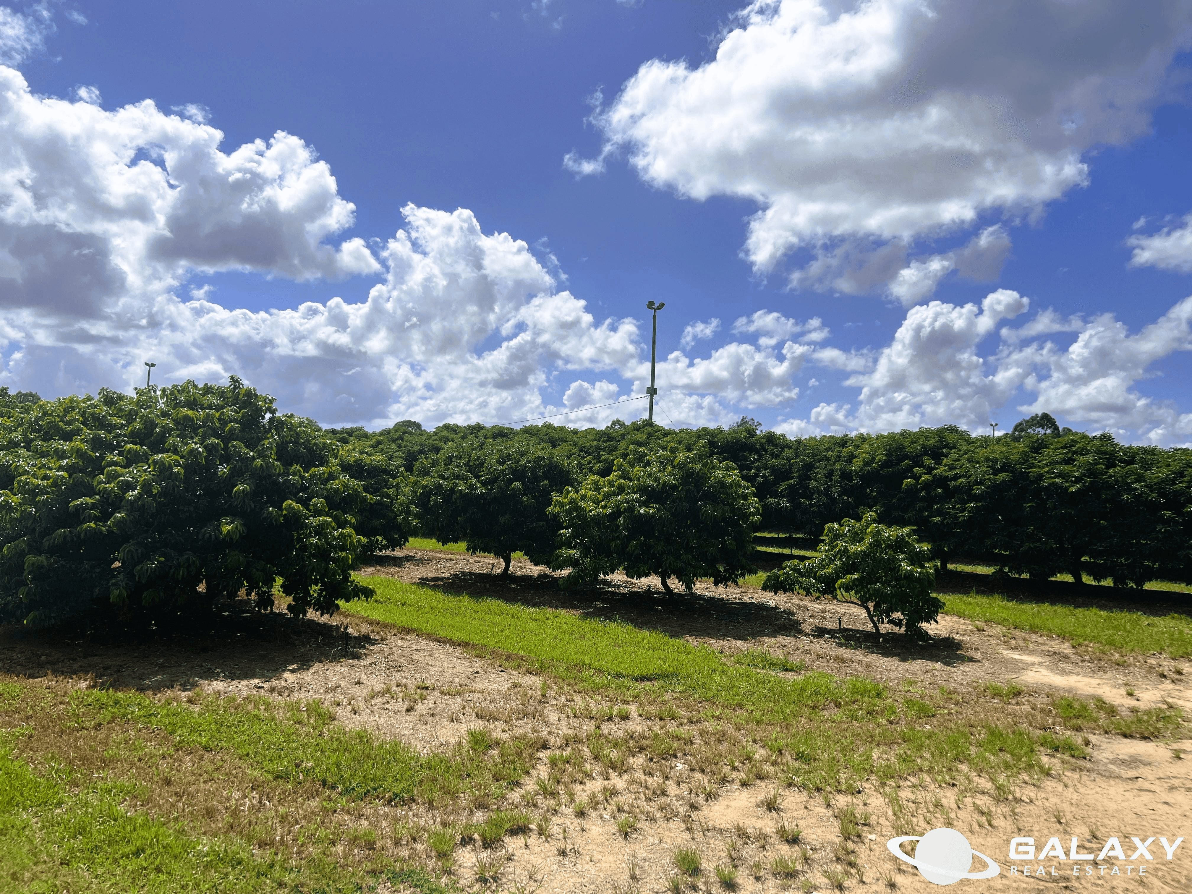 173 Bonels Road, WELCOME CREEK, QLD 4670