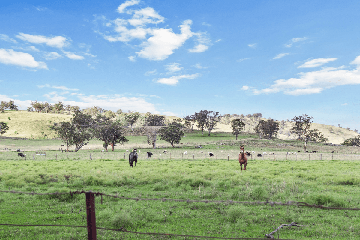 2510 Rouchel Road, Upper Rouchel, NSW 2336