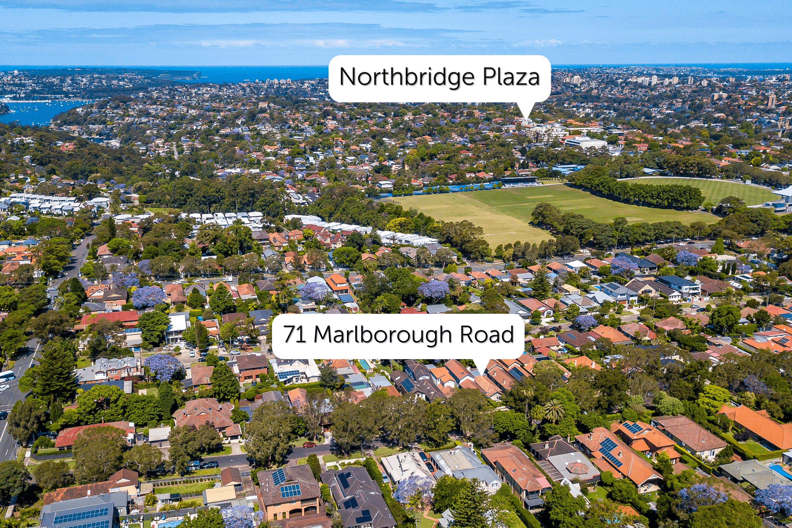 71 Marlborough Road, WILLOUGHBY, NSW 2068