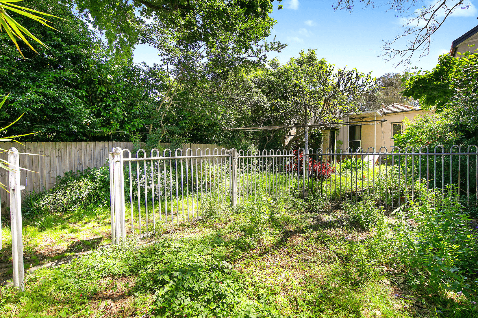 71 Marlborough Road, WILLOUGHBY, NSW 2068