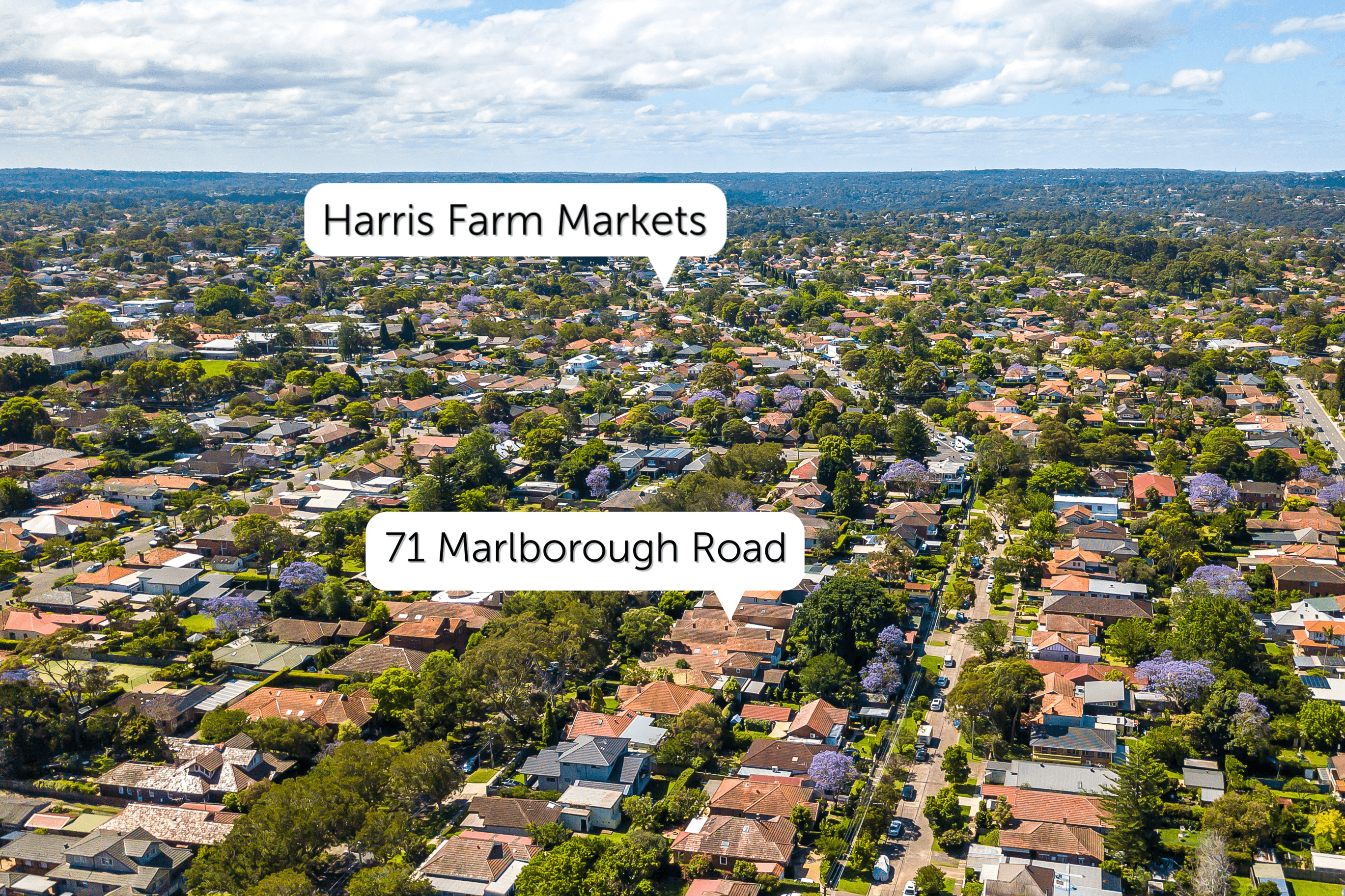 71 Marlborough Road, WILLOUGHBY, NSW 2068