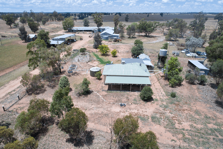 342 Matong North Road, MATONG, NSW 2652